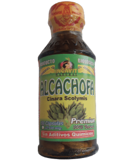 ALCACHOFA SOLA