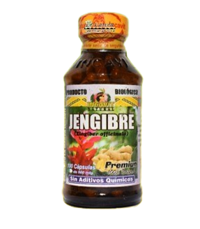 JENGIBRE